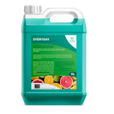 DESINFETANTE EVERIDAY CITRUS 5LT DESINFETANTE EVERIDAY CITRUS 5LT